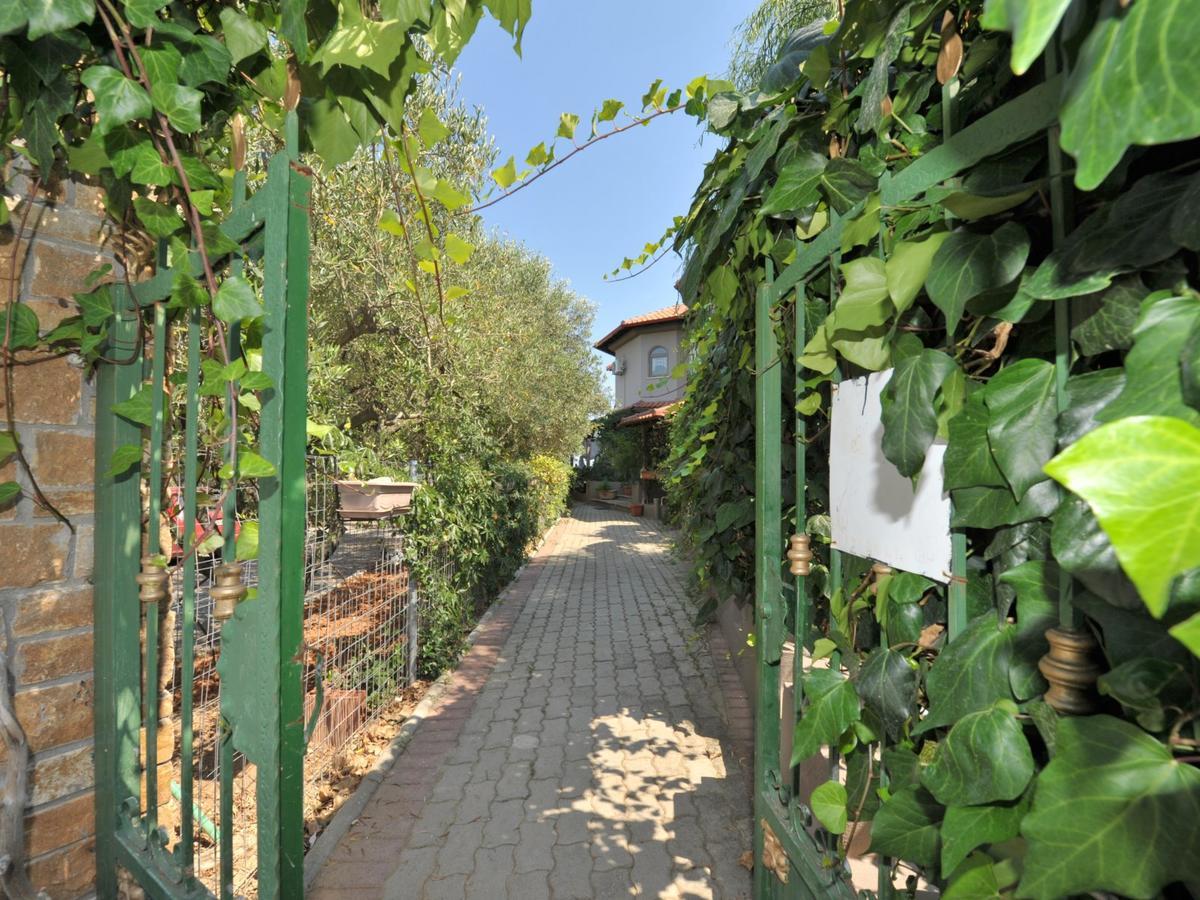 Alice Wonderland Home Nea Flogita Halkidiki Bagian luar foto